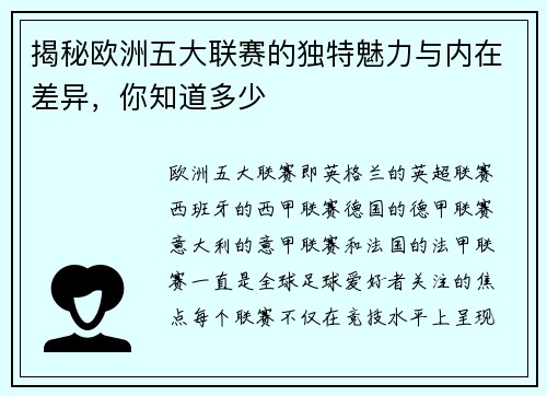 揭秘欧洲五大联赛的独特魅力与内在差异，你知道多少