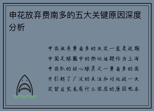 申花放弃费南多的五大关键原因深度分析